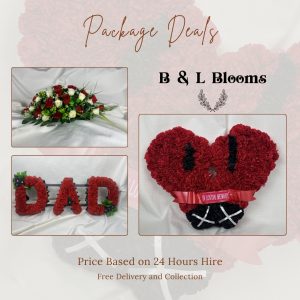 Dad Boxer Package